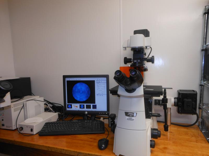 Aberration-limited Nikon Inverted Microscope and Camera Analytical Lab Service 