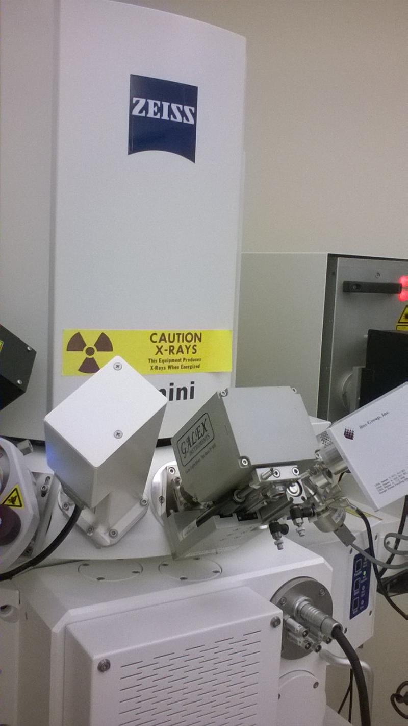 FIB/SEM Deposition Precursor Gas Injector Focused Ion Beam GIS GALEX EBID IBID